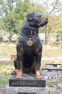 Bir köpek mezarlığındaki mezar taşı. Hayvan.