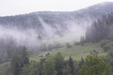 Dağ otlaklarında sisli bulutlu bir gün. Karpatlar