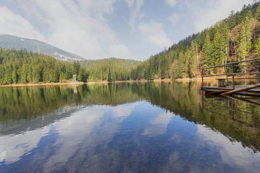 Karpatlar 'ın Synevir Gölü' nün güzel manzarası. Doğa