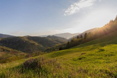 Karpatlar 'ın güzel manzarası. Akşam vakti çayırları ormanlık tepelerde yuvarlanıyor. Doğa