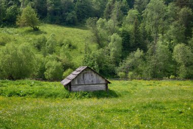 Karpatlar 'da dağ otlağındaki ahşap ahır
