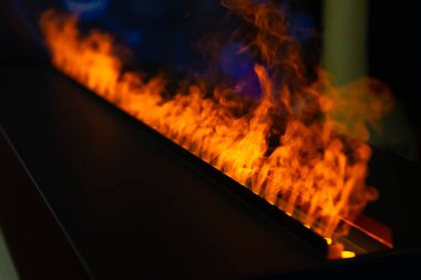 Şöminede parlak bir ateş yanıyor. Homellik