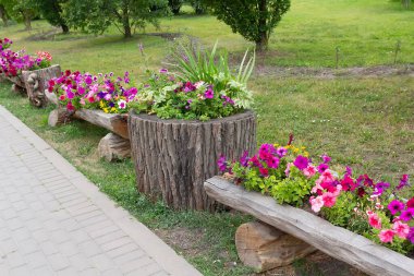 Çiçek tarlaları eski bir kütük şeklinde. Doğa