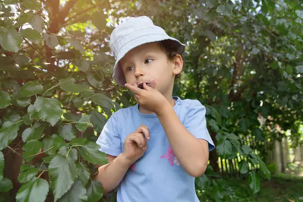 Bir çocuk köy bahçesindeki bir ağaçtan dut topluyor. İnsanlar