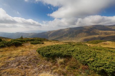 Dağlar çeşitli bitki örtüsü ve bulutlu gökyüzü ile kaplıdır. Karpatlar