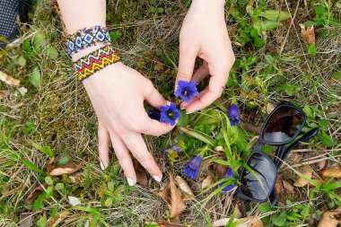 Bileziği ve kır çiçekleri olan kadın elleri. Bahar