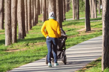 Bebek arabalı bir kadın sonbahar parkında yürüyor. Doğa