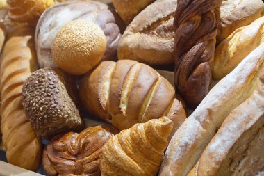 Tarafsız bir arkaplanda sanatsal olarak sergilenen çeşitli taze ekmek çeşitleri. Yiyecek.