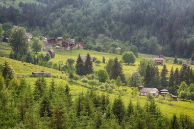 Yeşil ağaçların ve dağların arka planına karşı Karpat köyünün manzarası. Ukrayna