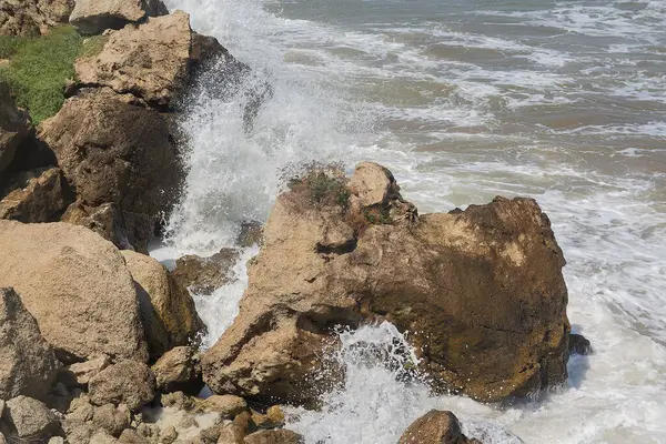 Sahilde taşlar ve dalgalar. Kırım