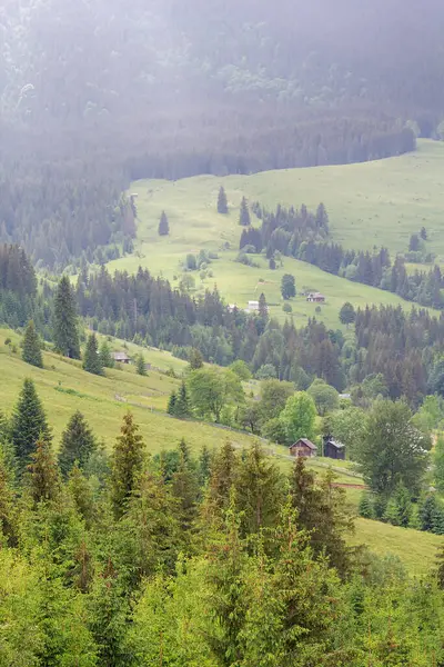 Yeşil ağaçların ve dağların arka planına karşı Karpat köyünün manzarası. Ukrayna