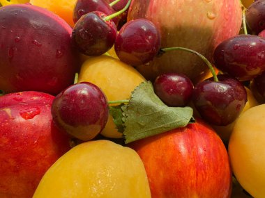 Yakın plan çekimde vişne, elma ve sarı erikler de dahil olmak üzere su damlacıklarıyla taze yaz meyveleri. Canlı renkler ve doğal dokular taze ve iştah açıcı bir kompozisyon oluşturuyor.