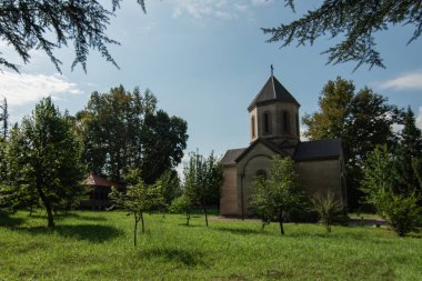 Ortodoks kilisesi, genç fidanların arka planına karşı, yeni yaşamın bir sembolü olarak