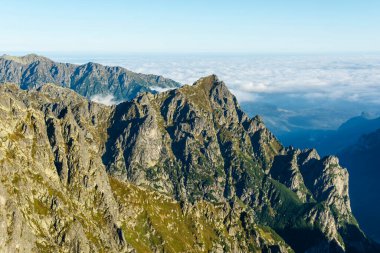 Sabahleyin görülen Çimenli-Kayalık Mlynarz (Mlynar) kalabalığı. Tatras.