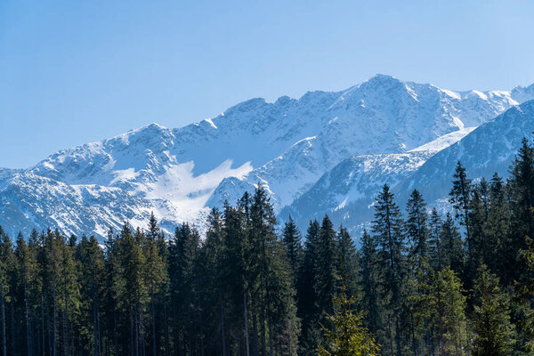 Вид на заснеженные горные вершины над лесом.