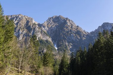 Strazyska Vadisi 'nden Polonya' da popüler bir dağ yürüyüşü merkezine doğru bir manzara - Giewont zirvesi.