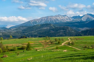 Podhale 'den görülen Tatra Dağlarının bahar manzarası.