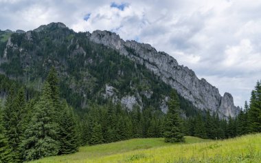Raptawicki Mur - Batı Tatras 'taki Koscieliska Vadisi' nin yukarısındaki Raptawicka Sırtı 'nın güney tarafı. Açıklıktan Görünüm - Polana Smytnia.