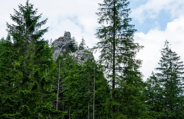 Polonya Tatra Dağları 'ndaki Koscieliska Vadisi' nde 'Sowa' adlı bir zirve..