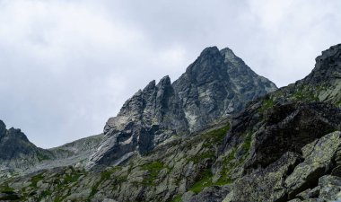 Slovak Tatralarında Wysoka 'nın (Vysoka) zirvesine uzanan uç bir tepe. Tatra 'nın sözde Büyük Tacına ait bir zirve..