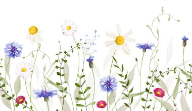 Çiçeksiz suluboya sınır çerçevesi. Meadow blue cornflowers, papatya, papatya, yabani çiçekler, yeşil dallar, yaprak. El çizimi tarzı illüstrasyon. Sanatsal şablon tasarımı.