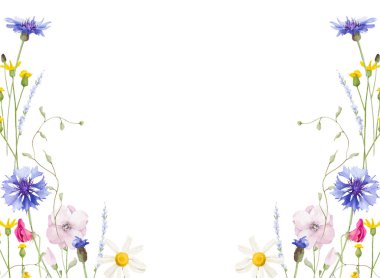 Suluboya çiçekli simetrik çerçeve şablonu. Yabani çayır çiçeği, pembe, menekşe, turuncu, sarı çiçekler, yeşil dallar. El çizimi tarzı illüstrasyon. Sanatsal şablon tasarımı.