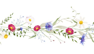 Çiçeksiz suluboya halk sınırı. Çayır kırmızısı papatya, mavi çiçek papatya, yabani çiçekler, yeşil dallar, yapraklar. El çizimi tarzı illüstrasyon. Sanatsal şablon tasarımı.