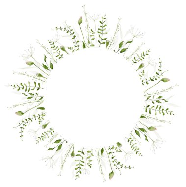 Çiçekli suluboya çelenk çerçevesi. Çayır çayı, yeşil yabani dallar, yapraklar, otlar, çiçek tomurcukları. Sanatsal şablon tasarımı.