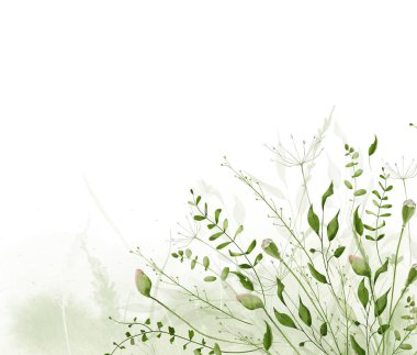 Çiçekçilik suluboya köşeli köşeli çerçeve. Yeşil gelincik tomurcukları, dallar, yapraklar, otlar, soyut yıkamalar. El çizimi tarzı illüstrasyon. Sanatsal şablon tasarımı.