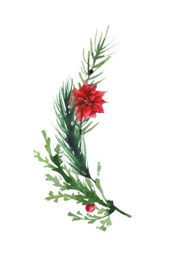 Suluboya Noel ağacı, kırmızı top ve noel çiçeğiyle asimile edilmiş çerçeveyi dallandırır. Evergreen çam dalları. Yeni yıl el çizimi. Sanatsal şablon tasarımı.