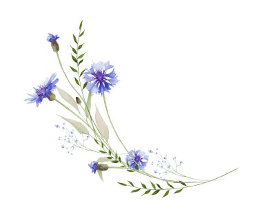 Suluboya çiçekli yarı dairesel çerçeve. Çayır mavisi çiçek, unutma beni çiçekleri, yeşil yabani dallar, yapraklar, bitkiler. El çizimi tarzı illüstrasyon. Sanatsal şablon tasarımı.