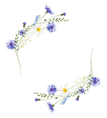 Suluboya çiçek desenli yuvarlak çelenk çerçevesi. Çayır mavisi çelenkler, sarı yabani çiçekler, papatyalar, yeşil dallar, yapraklar. El çizimi tarzı illüstrasyon. Sanatsal şablon tasarımı.