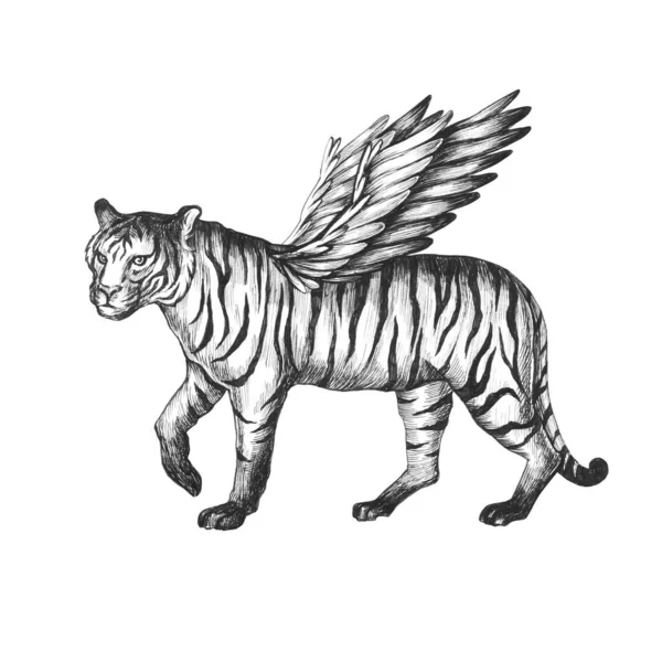 Hermosa Ilustración Clip Arte Con Inusual Quimera Tigre Con Alas —  Fotos de Stock