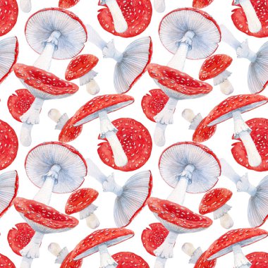 Amanita mantarlı suluboya orman desenli güzel bir desen. Stok illüstrasyonu.