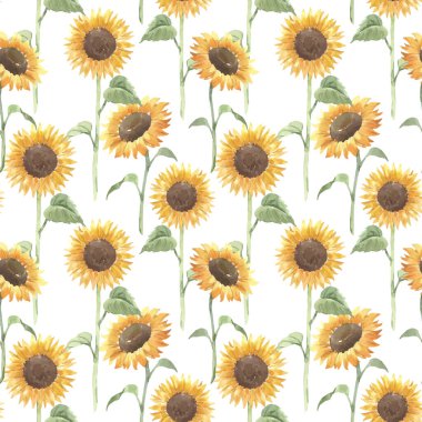 Çiçeksiz, suluboya sarı ayçiçekleri olan güzel bir vektör deseni. Stok illüstrasyonu.