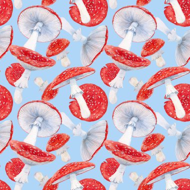 Amanita mantarlı suluboya orman desenli güzel bir desen. Stok illüstrasyonu.