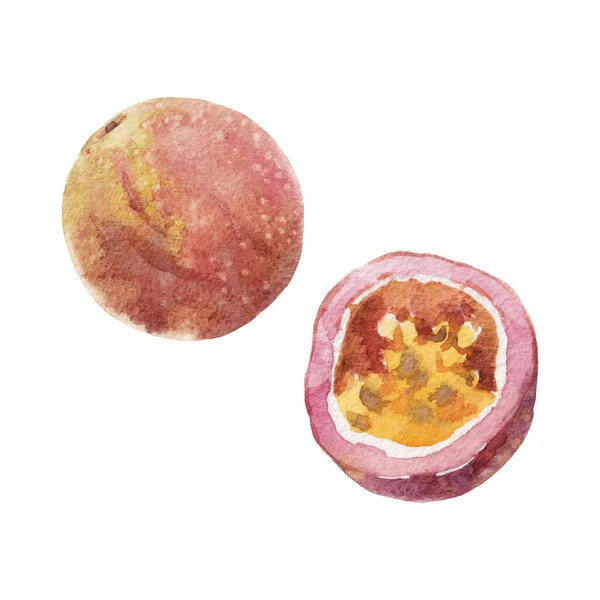 Frumos Clip Art Ilustrare Acuarelă Gustoasă Pasiune Fruct Alimente Vegane — Fotografie, imagine de stoc