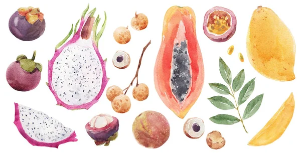 Beautiful Stock Clip Art Illustration Set Watercolor Tasty Tropical Fruits — Stock Photo, Image
