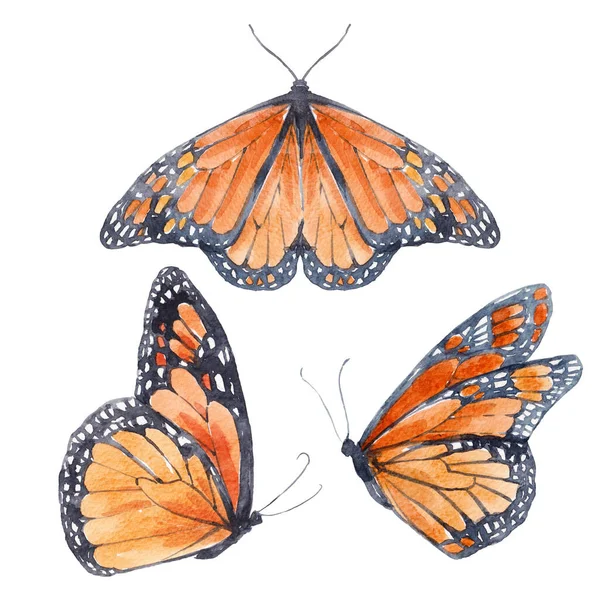 Beautiful clip art image with cute hand drawn watercolor butterflies. Stock illustration.