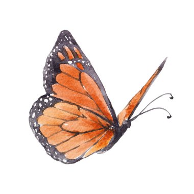 Güzel bir klipsli resim, tatlı bir el çizimi, suluboya kelebekler. Stok illüstrasyonu.