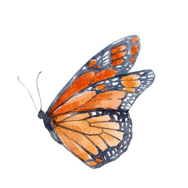 Güzel bir klipsli resim, tatlı bir el çizimi, suluboya kelebekler. Stok illüstrasyonu.