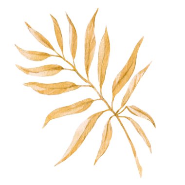 Beautiful clip art stock illustration with watercolor colorful tropical palm leaves.