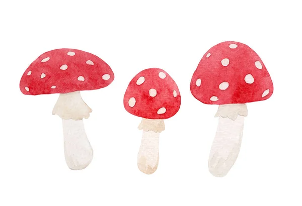 Beautiful Set Watercolor Fly Agaric Mushroom Stock Illustration — Stockfoto