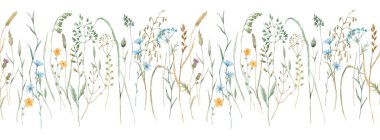 Beautiful horizontal floral seamless pattern with watercolor wild herbs and flowers. Stock illustration.