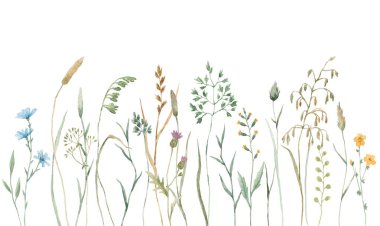 Beautiful floral floral composition with watercolor wild herbs and flowers. Stock illustration.