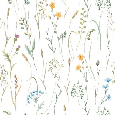Beautiful floral seamless pattern with watercolor wild herbs and flowers. Stock illustration.