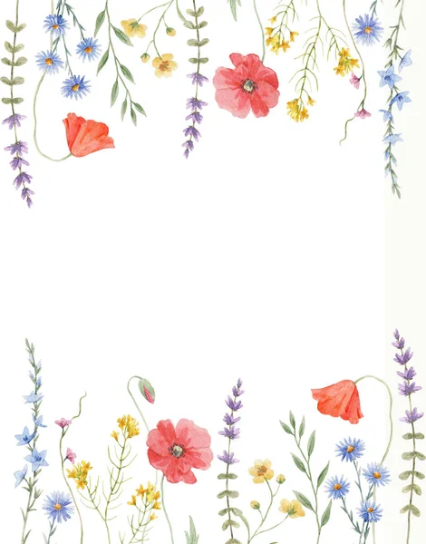 Beautiful Floral Frame Watercolor Wild Herbs Flowers Stock Illustration — Stock fotografie