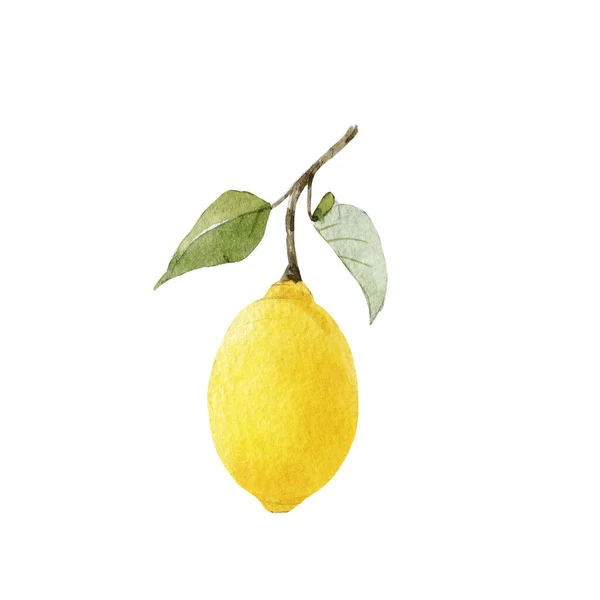 Beautiful Image Watercolor Yellow Lemons Flowers Stock Clip Art Illustration — Stock Photo, Image