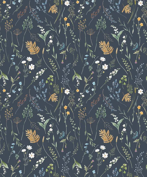 Beautiful Floral Seamless Pattern Watercolor Wild Herbs Flowers Stock Illustration — 스톡 사진