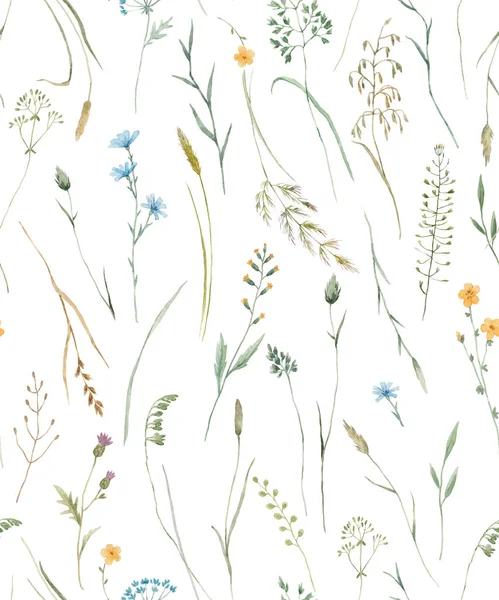 Piękny Kwiatowy Bezszwowy Wzór Akwarelą Dzikich Ziół Kwiatów Ilustracja — Zdjęcie stockowe